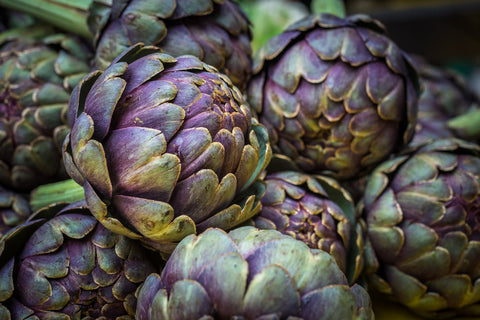 Artichoke (Cynara cardunculu)