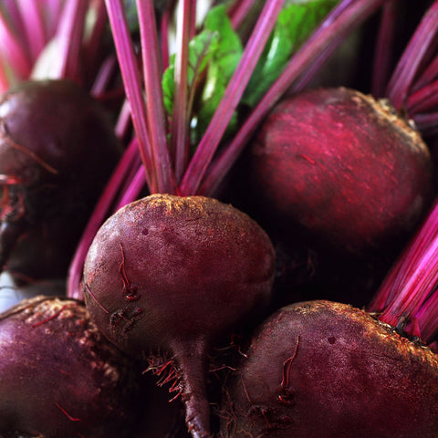 Beetroot (Beta vulgaris)