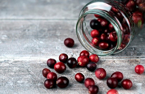 Cranberry (Vaccinium macrocarpon/ Vaccinium oxycoccos)