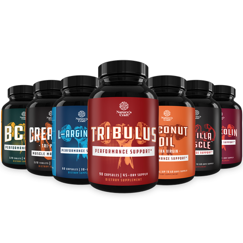 Muscle and Fitness Bundle