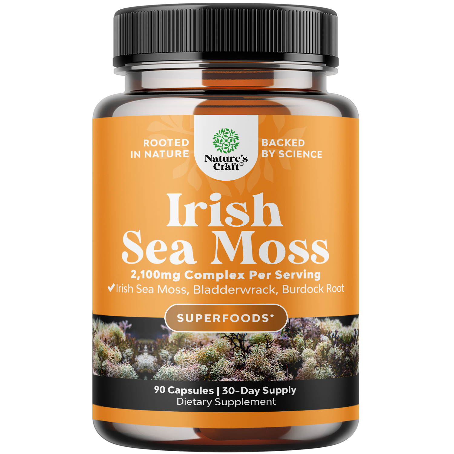 Organic Irish Sea Moss Capsules, Nature's Craft, Sea Moss and Bladderwrack, 90 Capsules