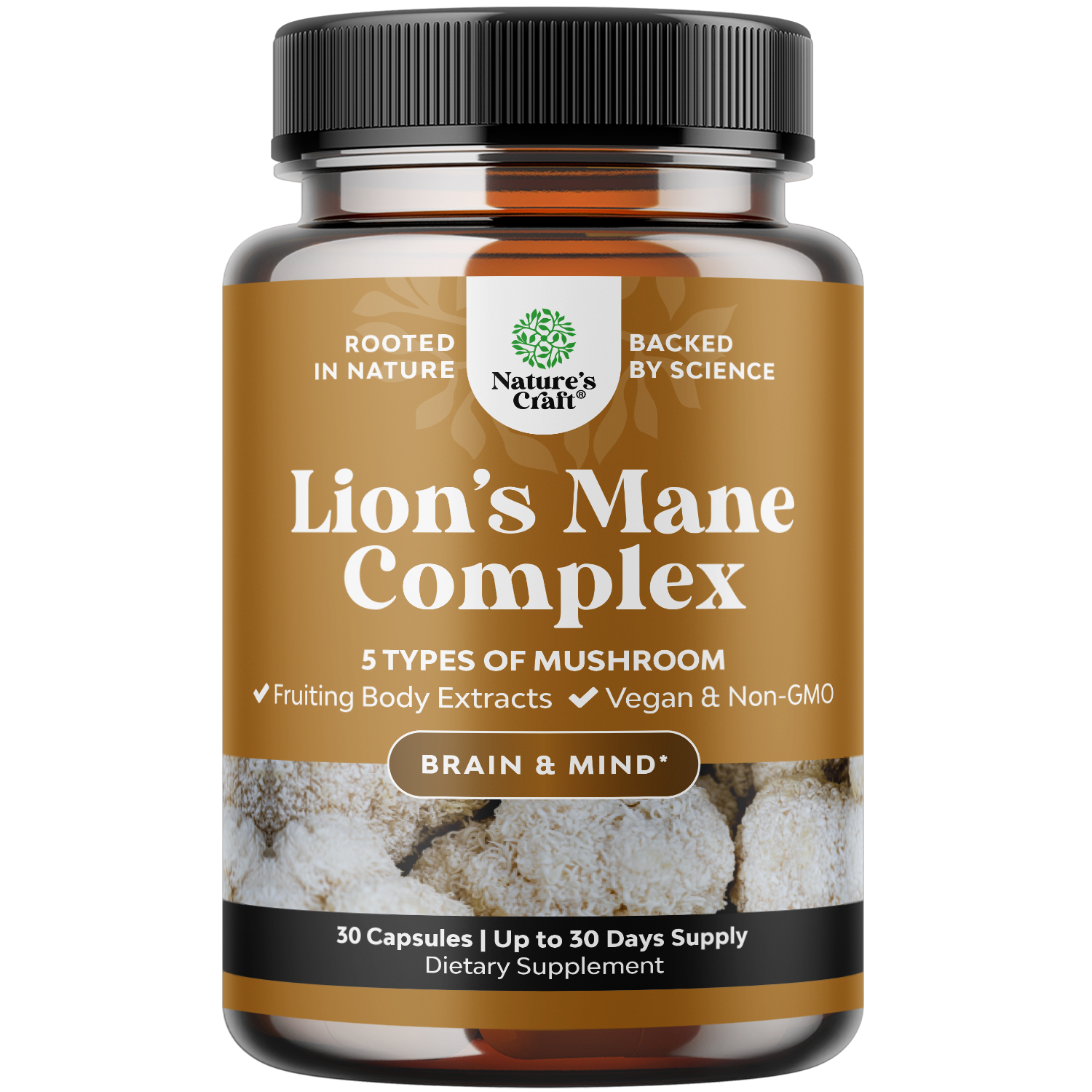 Lion s Mane Complex Nature s Craft lion-s-mane-complex-nature-s-craft