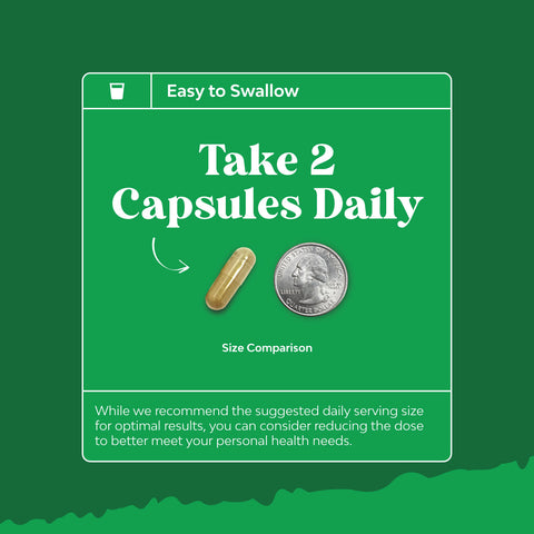 Liver Support