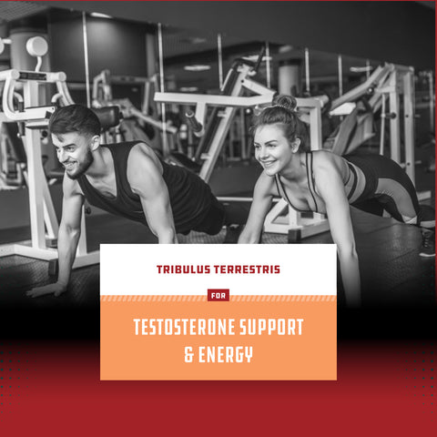 Tribulus - 90 Capsules - Nature's Craft