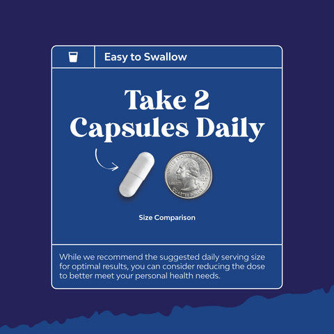 Vision Support 20mg per serving