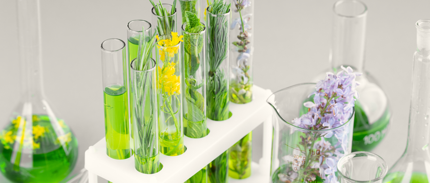 Botanic, flowers, grass in bottles