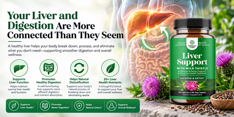 Your Liver and Digestion Are More Connected Than They Seem