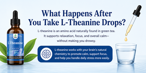 What Happens After You Take L-Theanine Drops?