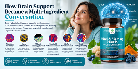 How Brain Support Became a Multi-Ingredient Conversation