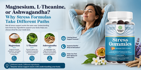 Magnesium, L-Theanine, or Ashwagandha? Why Stress Formulas Take Different Paths