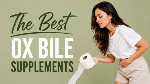 Best Ox Bile Supplements in 2026: Full Guide