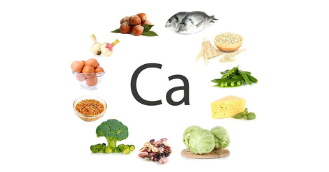 Top Calcium Sources for Dairy-Free Diets