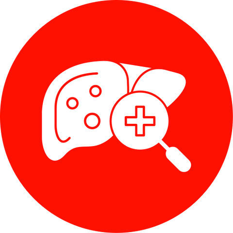 Liver Support