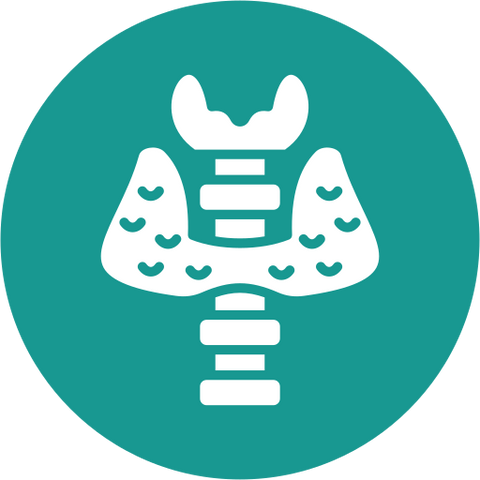 Thyroid Support