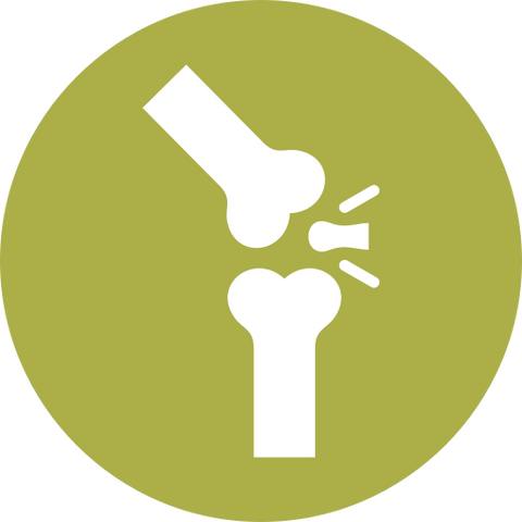 Bone & Joint Health