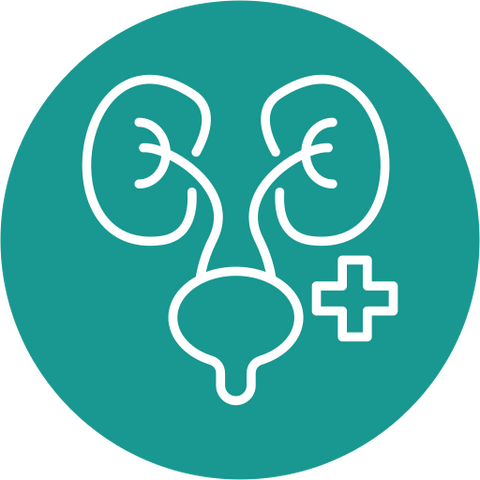Urinary Tract Health