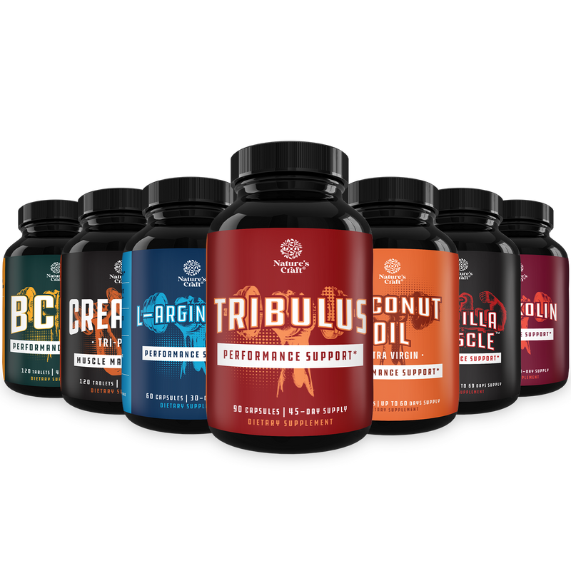 Muscle and Fitness Bundle