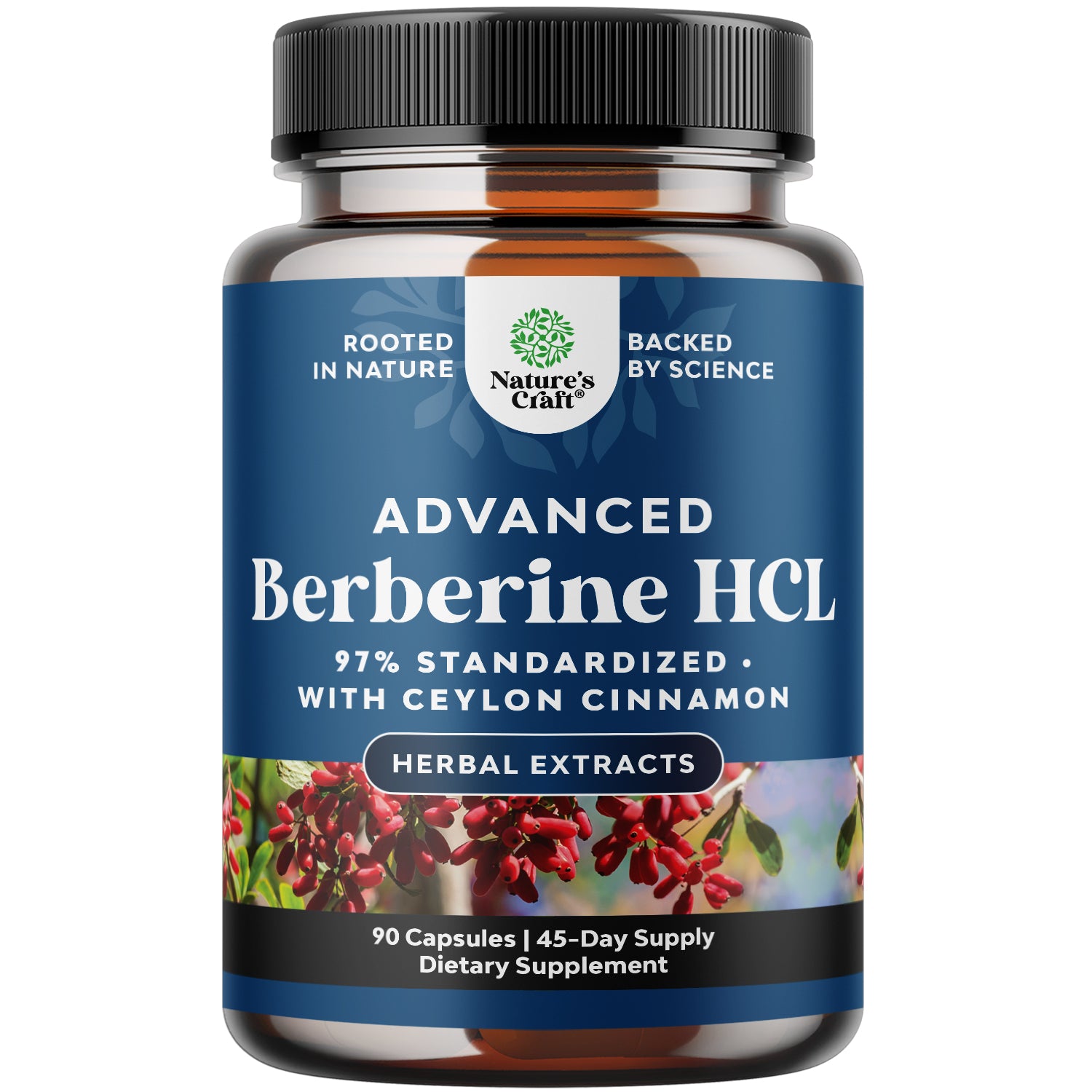 Berberine Dietary Supplement | 1200mg per Serving