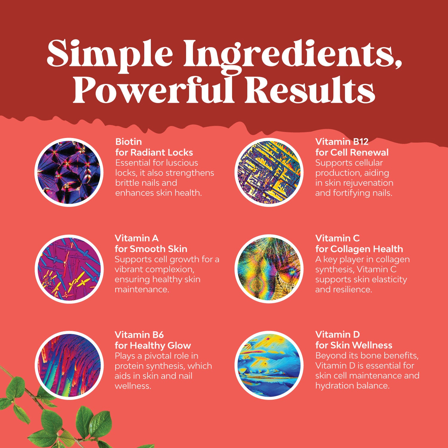 Biotin Gummies 5000mcg per serving