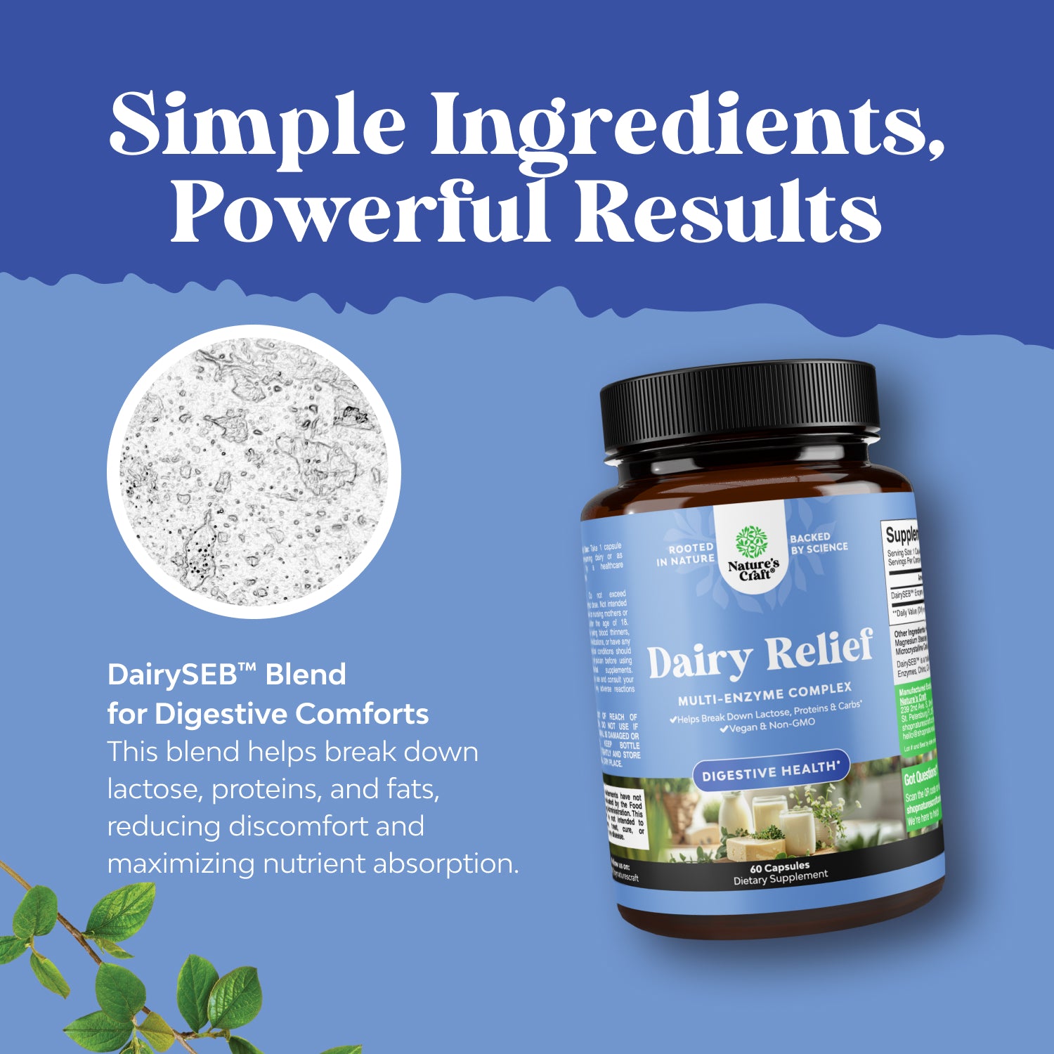 Dairy Relief