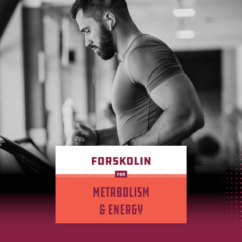 Forskolin - 60 Capsules - Nature's Craft