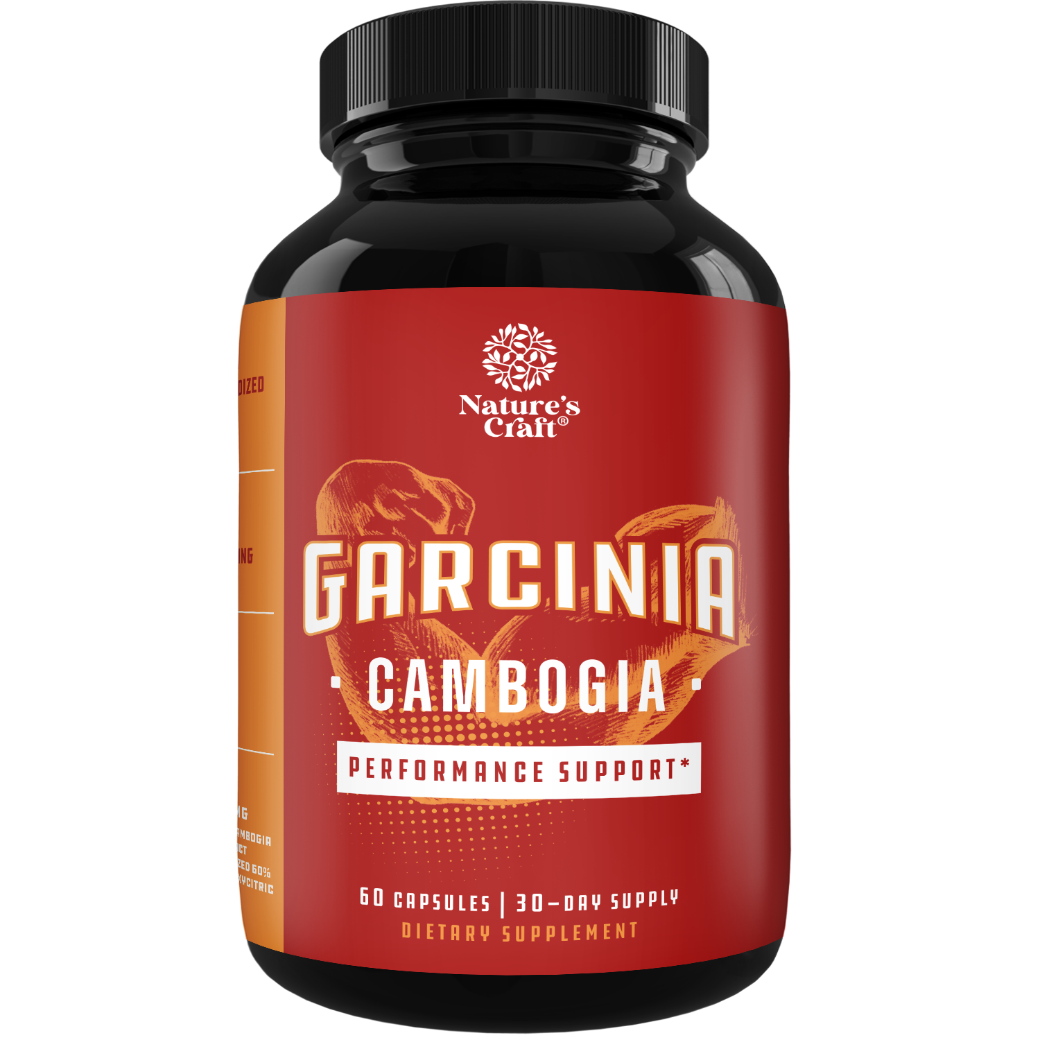 Garcinia Cambogia