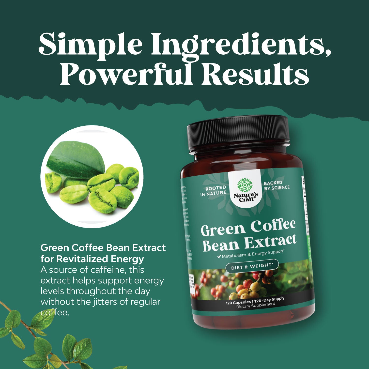 Green Coffee Bean Extract - 120 Capsules