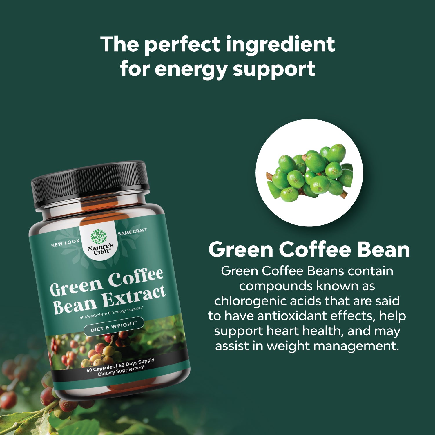 Green Coffee Bean Extract - 60 Capsules - Nature's Craft