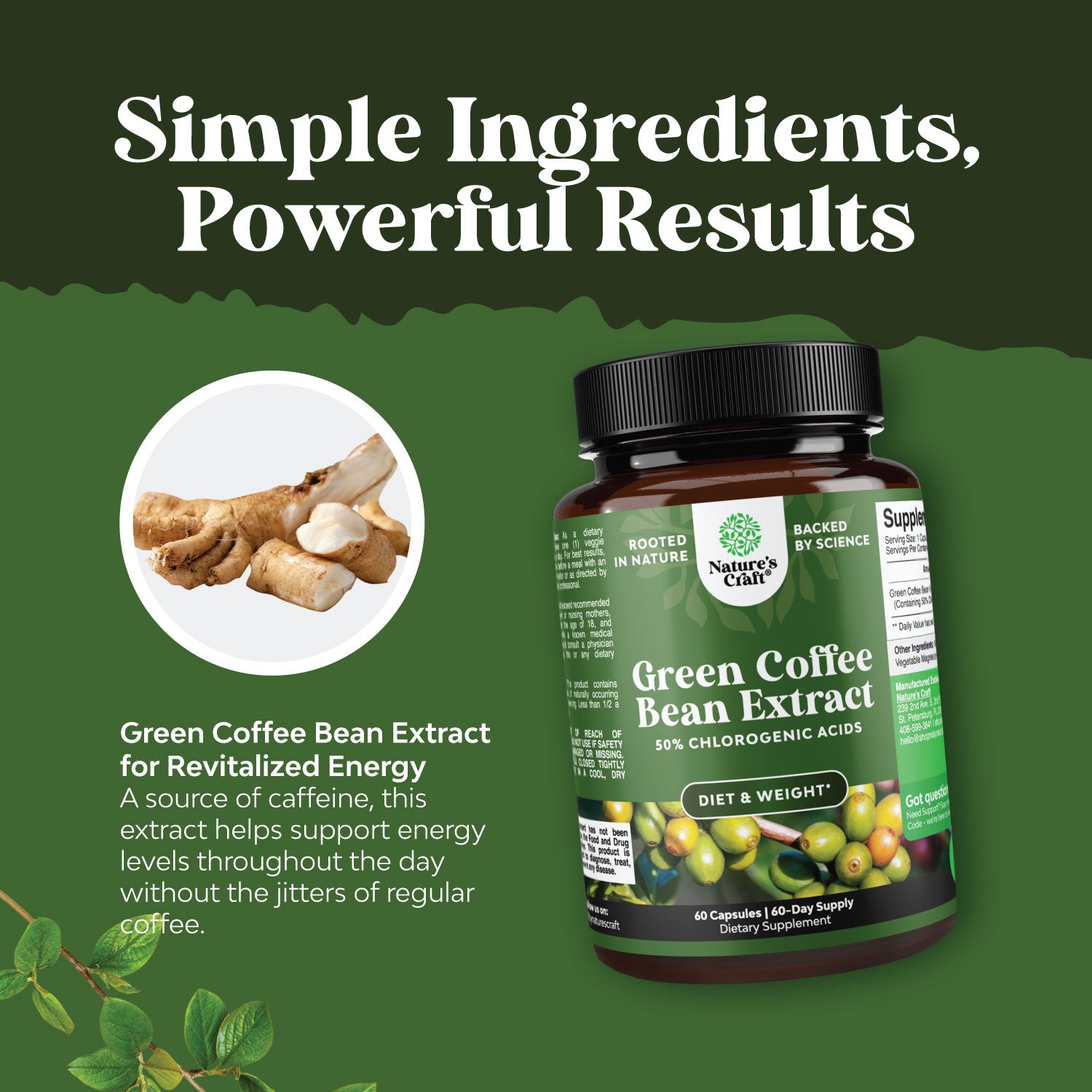 Green Coffee Bean Extract