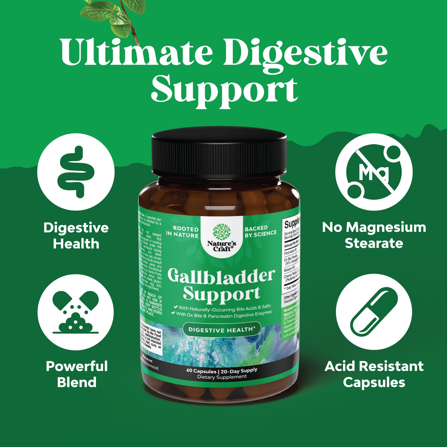 Gallbladder Support