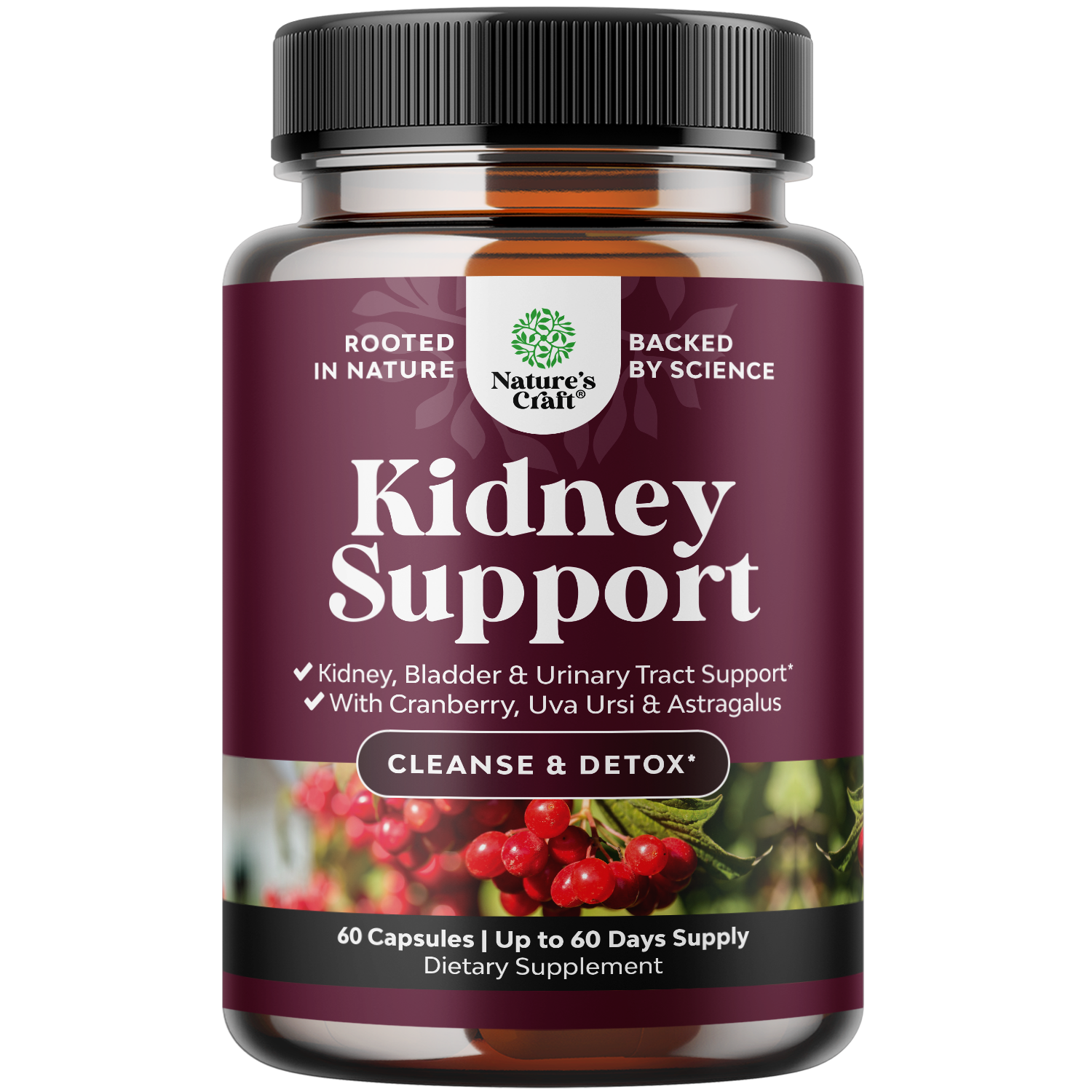 Kidney Support
