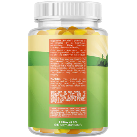Kids Omega + DHA Gummies