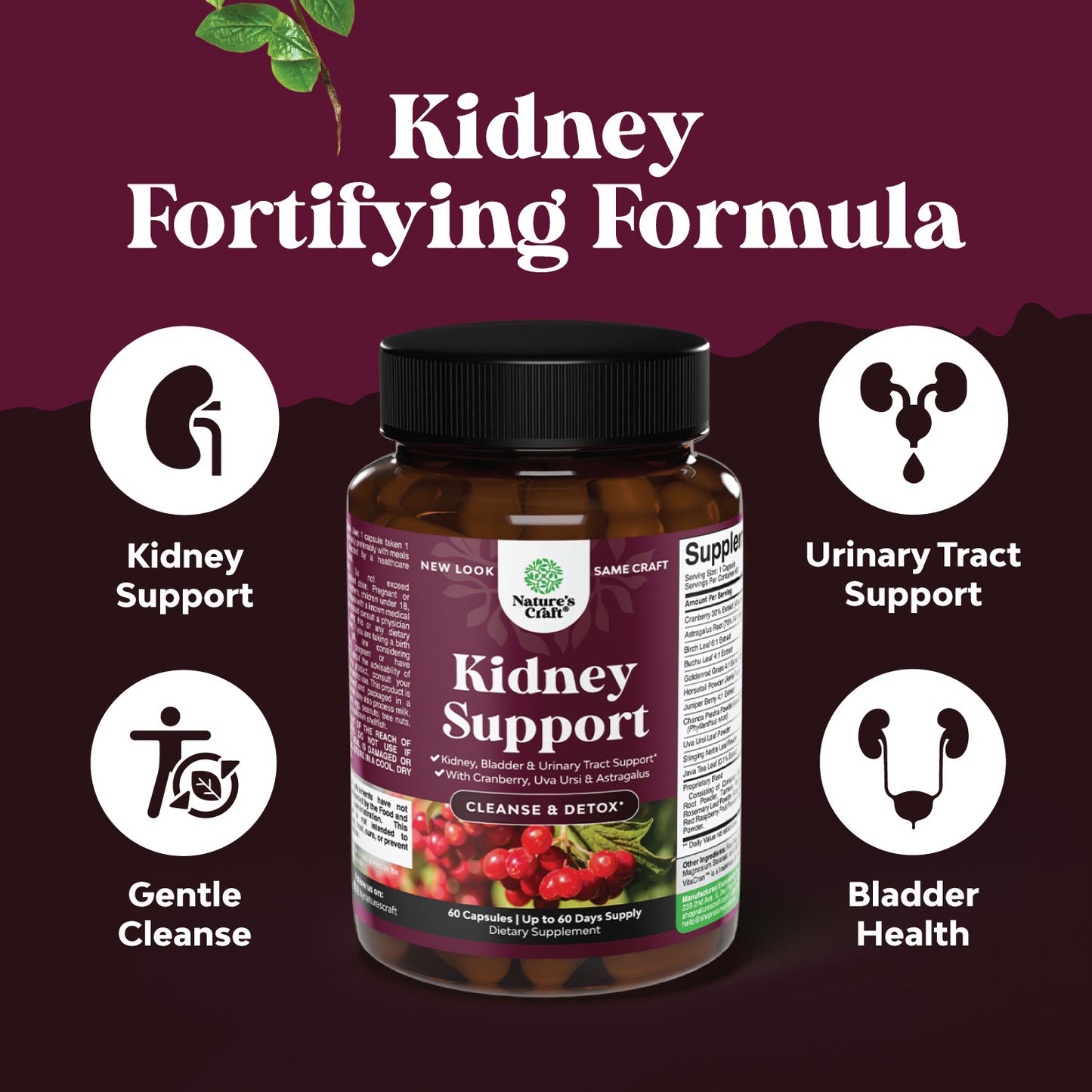 Kidney Support - 60 Capsules
