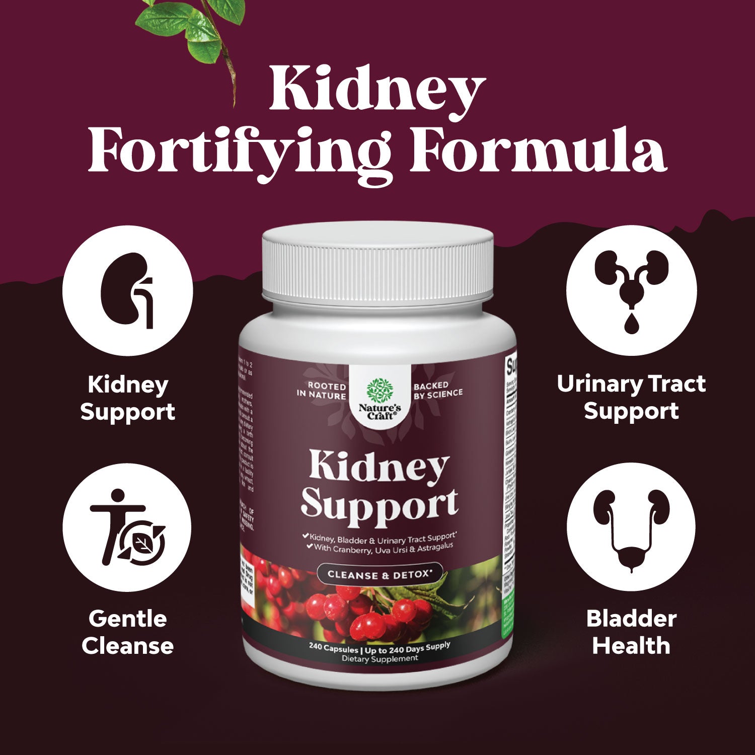 Kidney Support - 240 Capsules