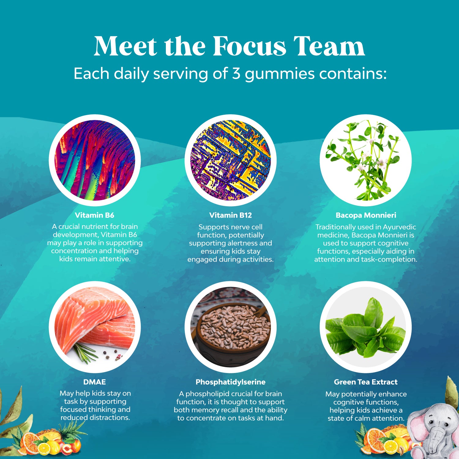 Kids Focus Gummies
