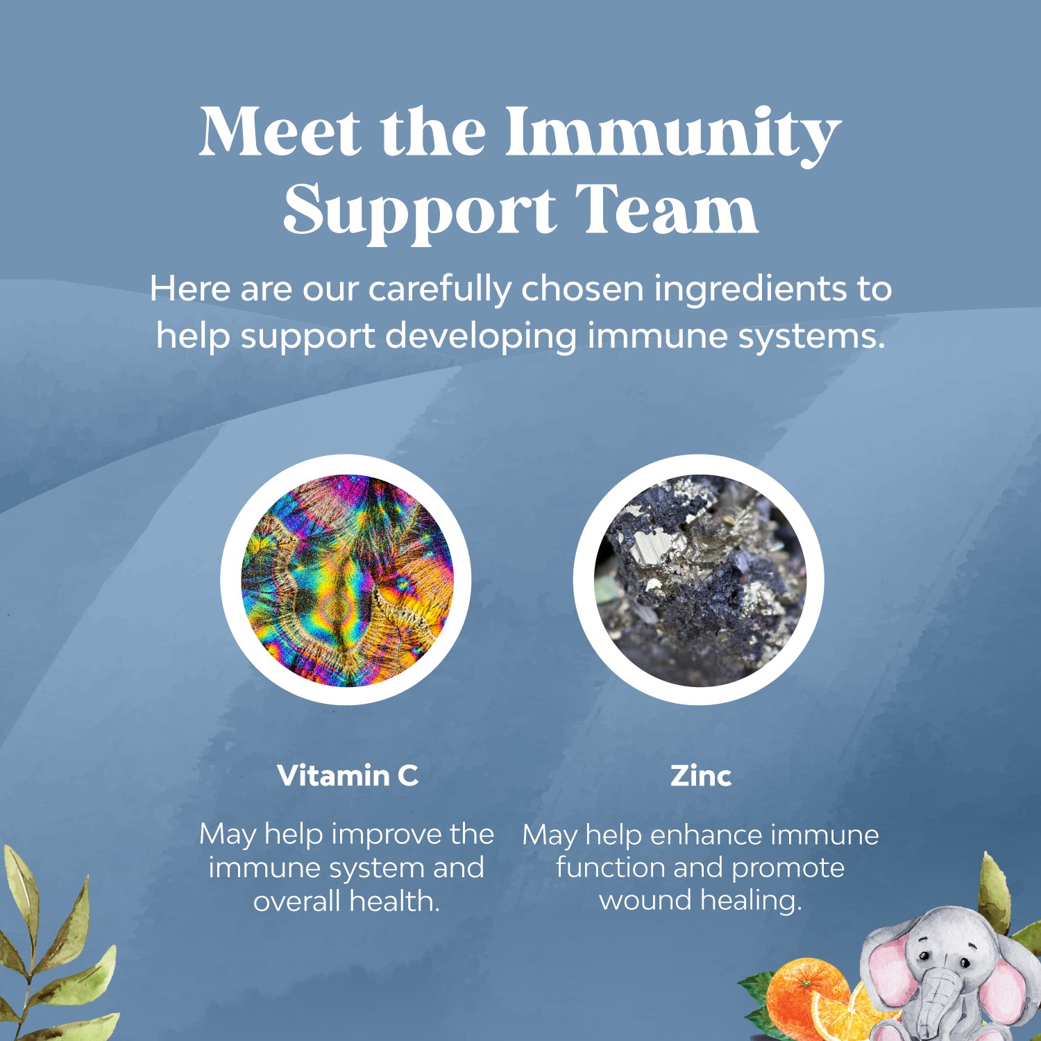Kids Immunity Gummies