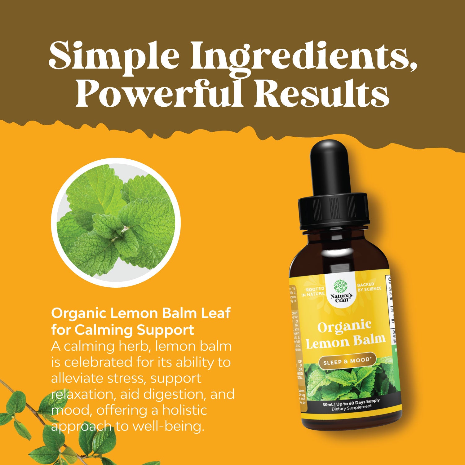 Organic Lemon Balm