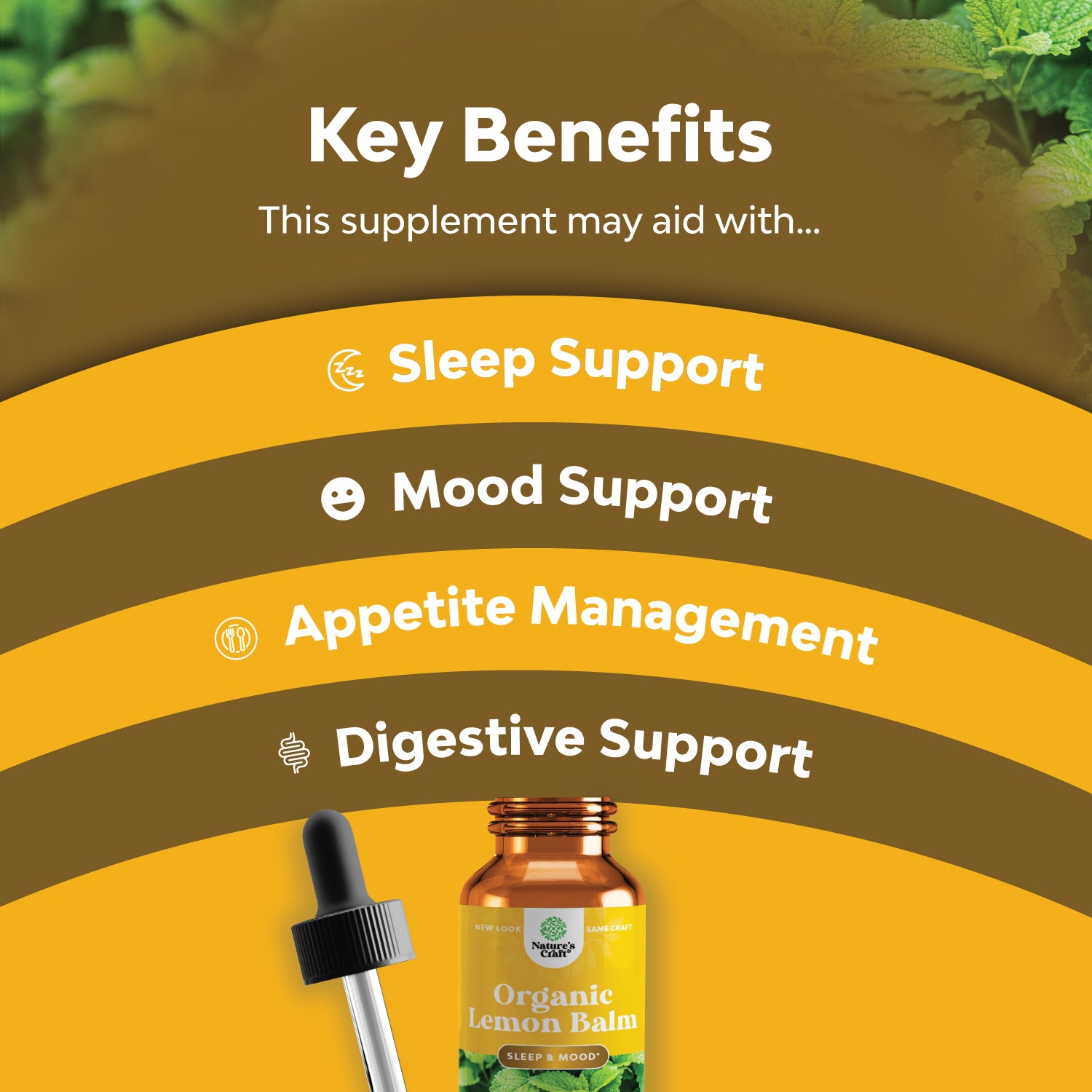 Organic Lemon Balm - 100% Organic