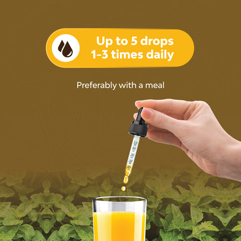 Organic Lemon Balm - 100% Organic