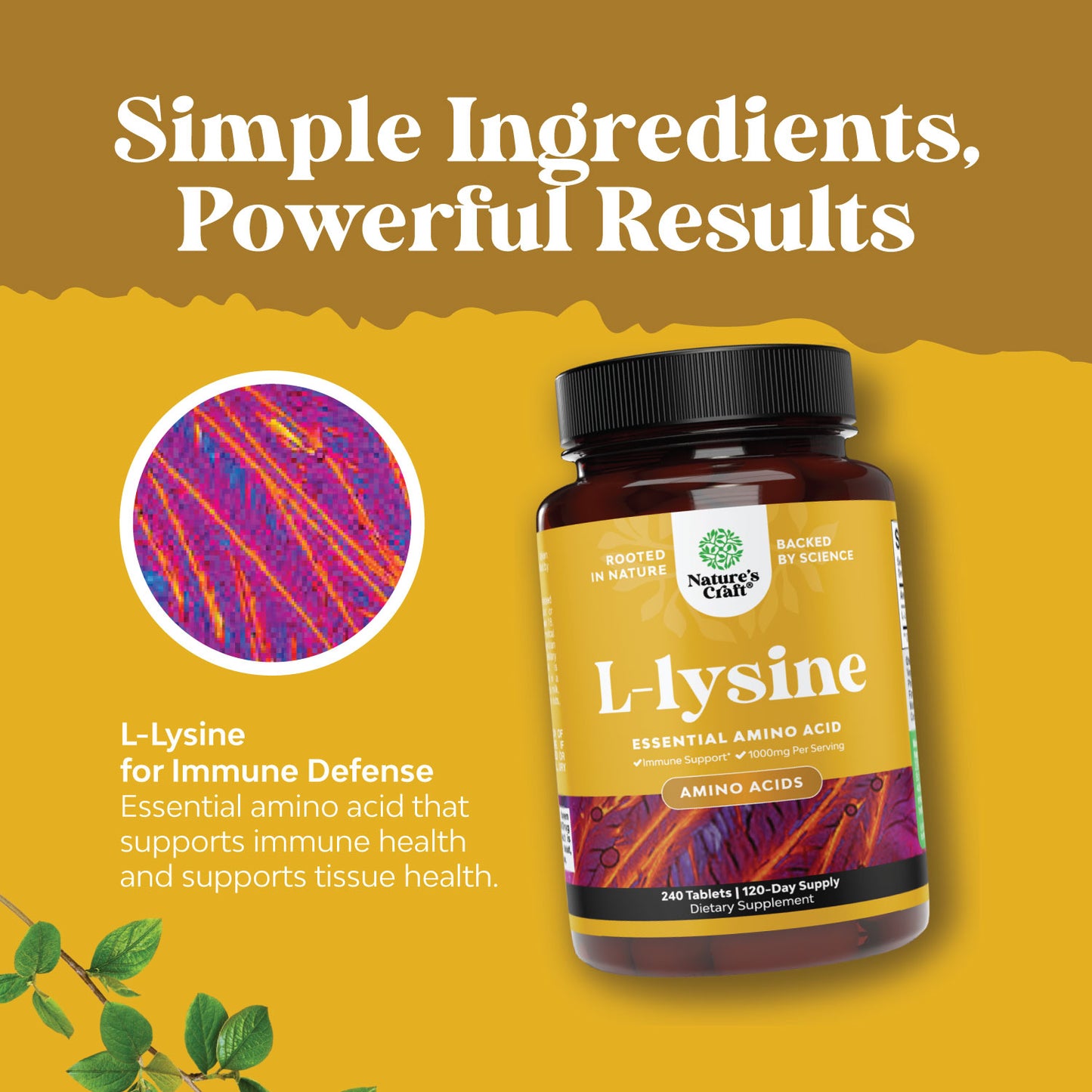 L-Lysine 1000mg per serving - 240 Tablets