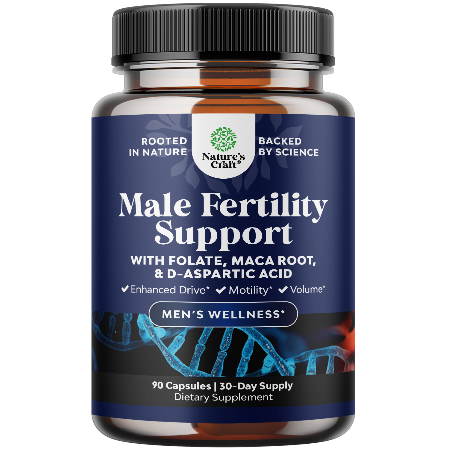 Male Fertility Support