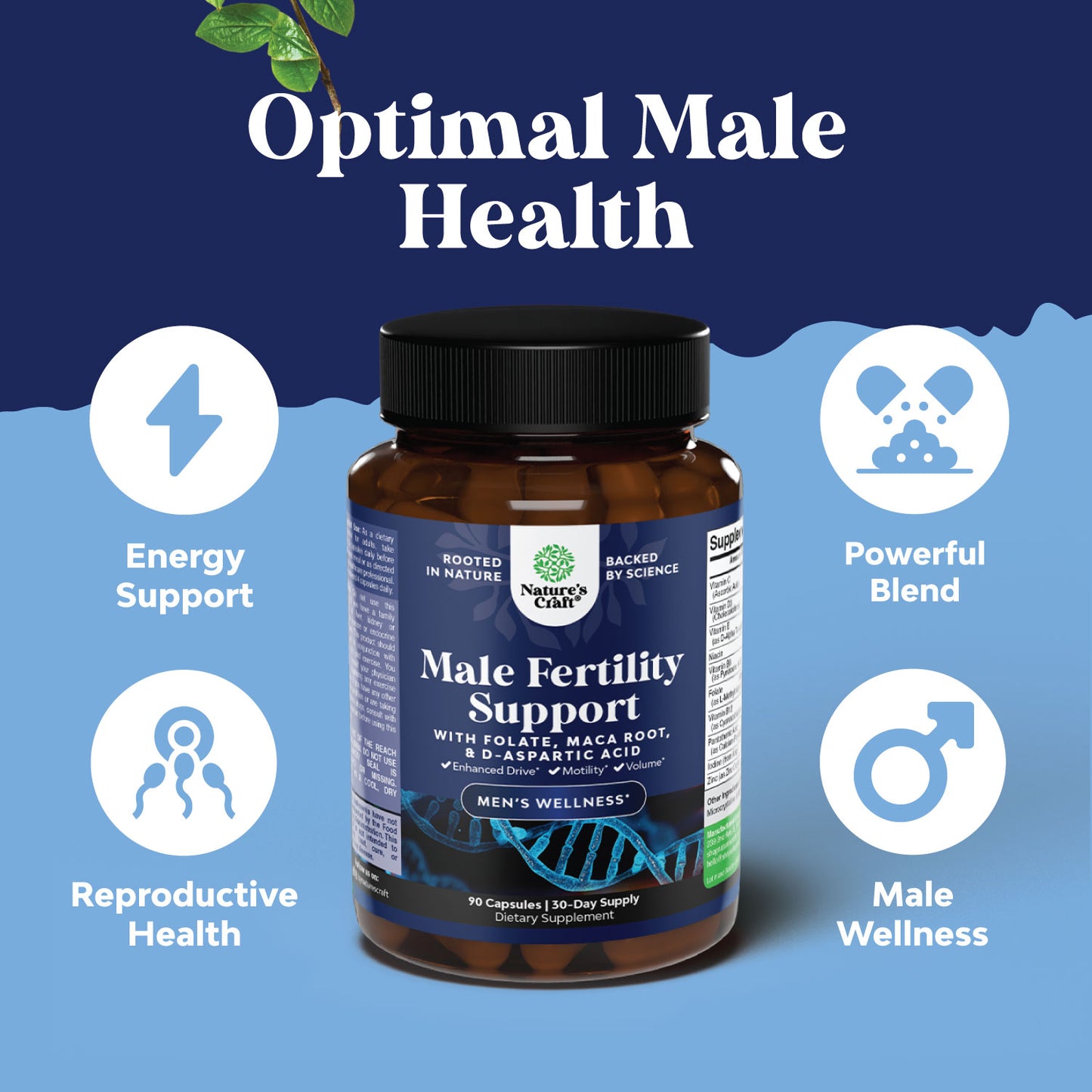 Male Fertility Support - 90 Capsules