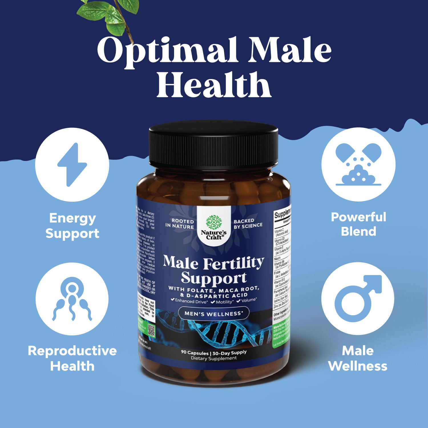 Male Fertility Support