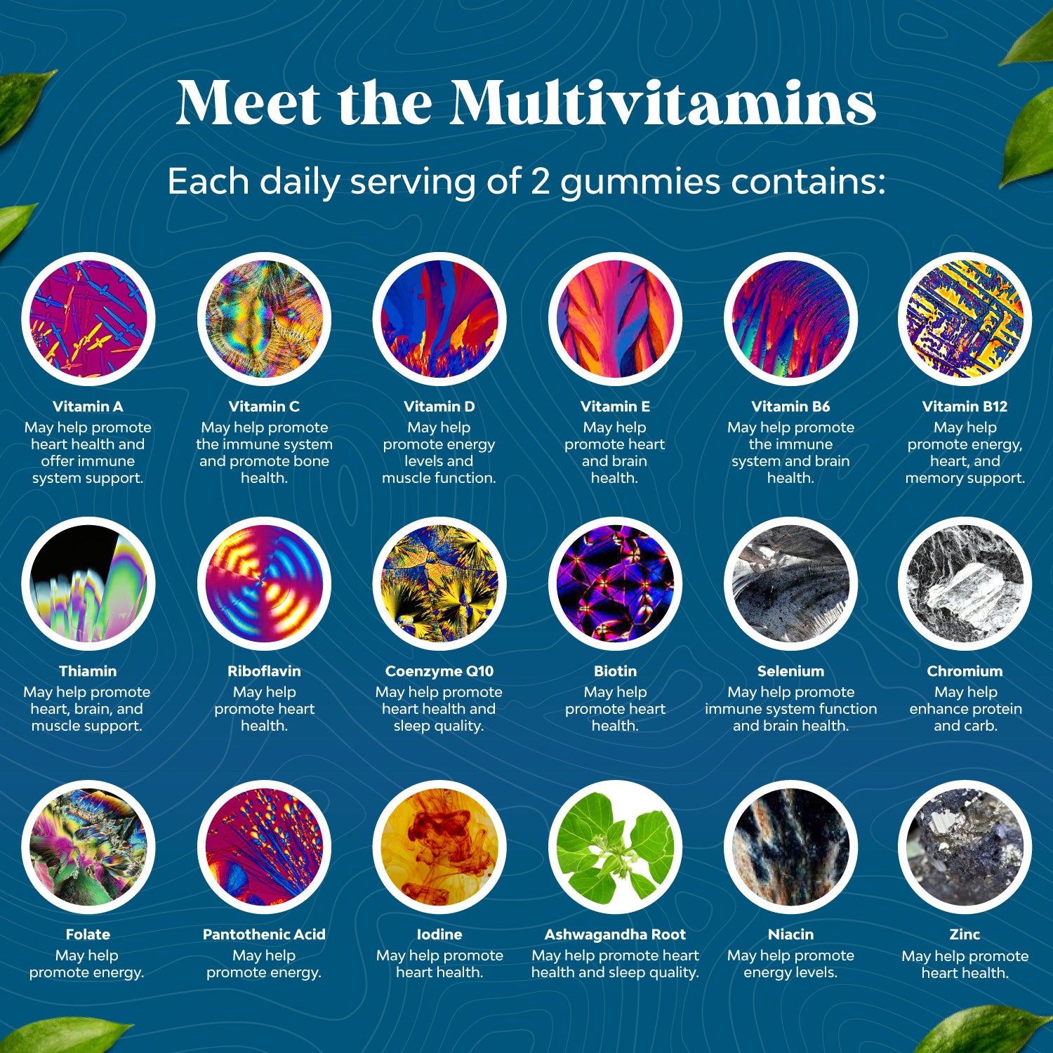 Men's Multivitamin Gummies - 90 Gummies