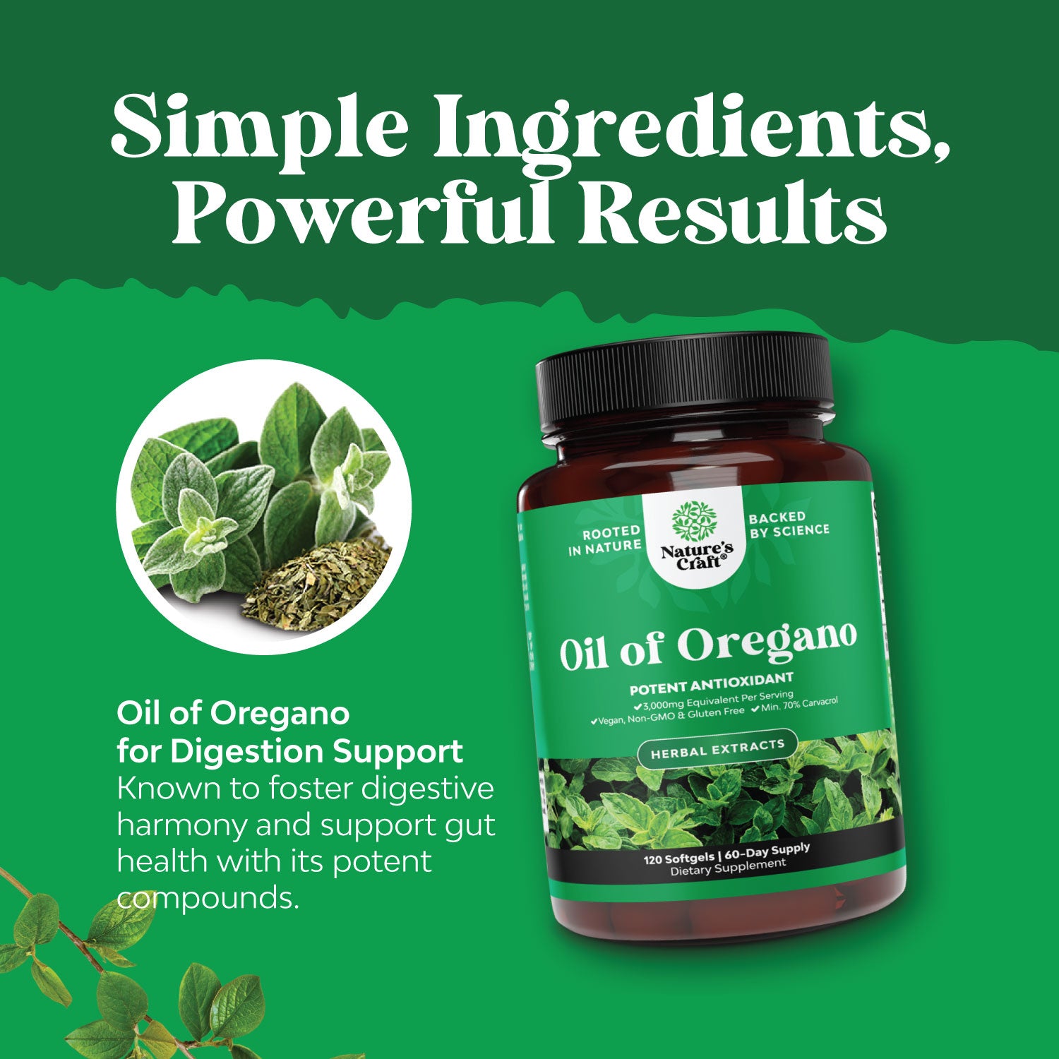 Oil of Oregano