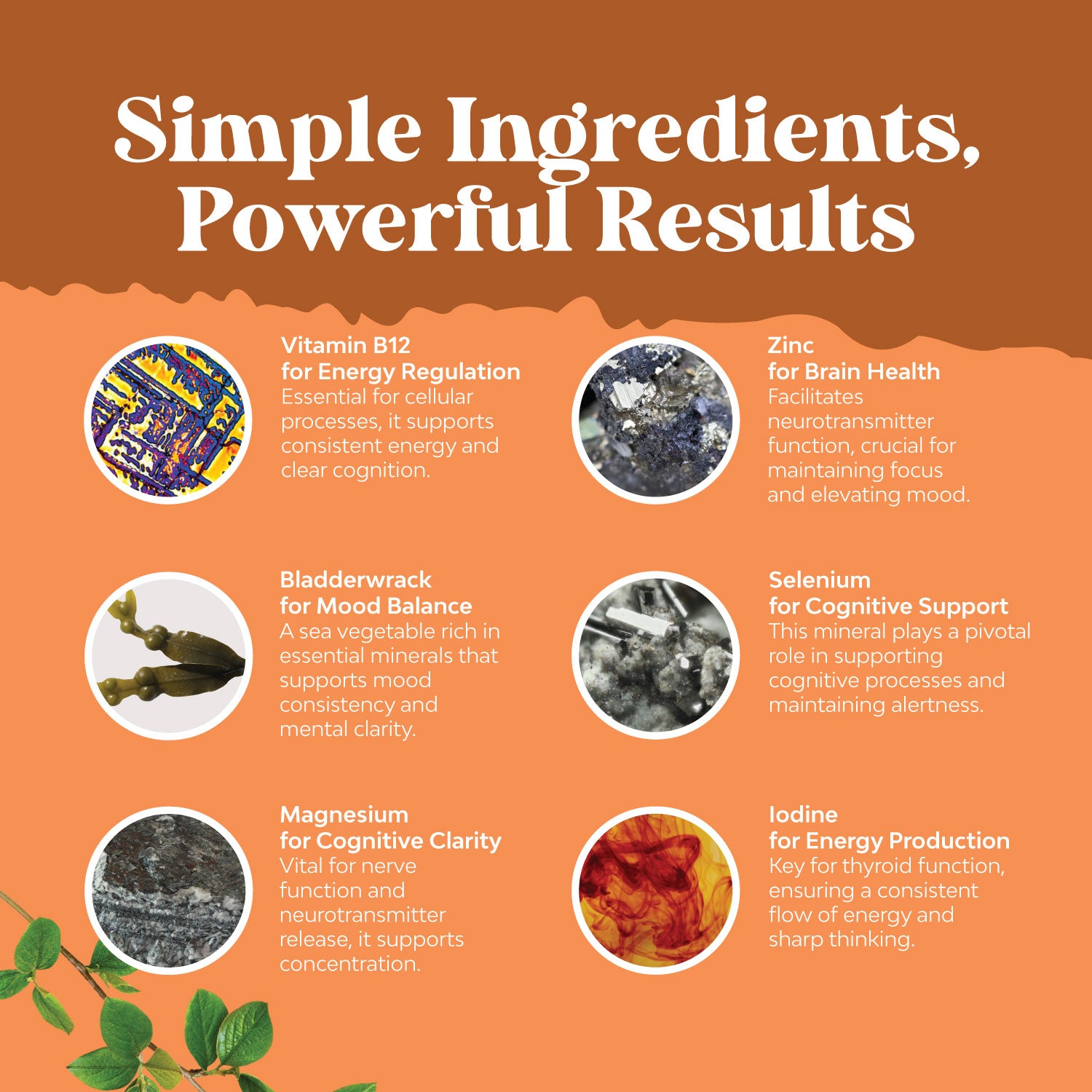 Thyroid Complex - 60 Capsules - Nature's Craft