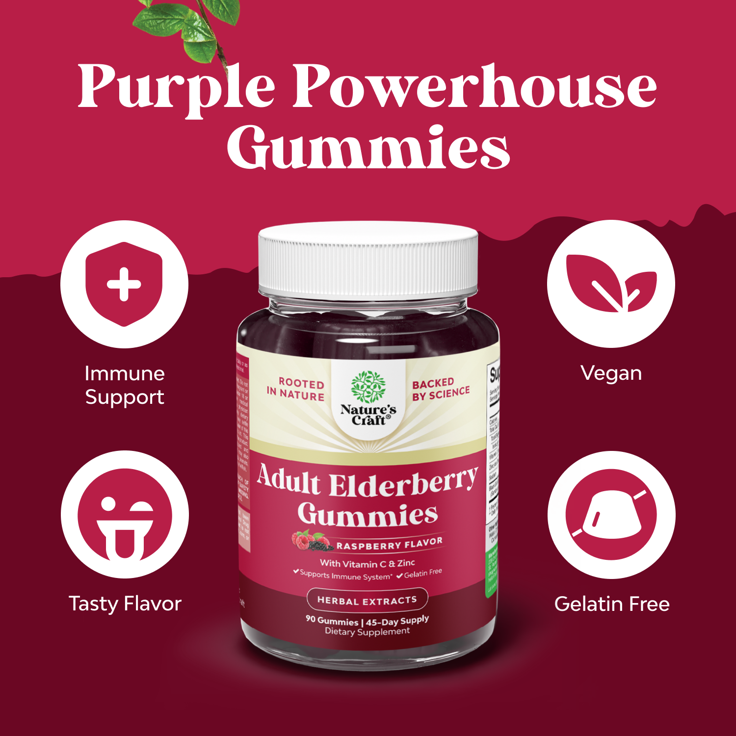 Adult Elderberry Gummies