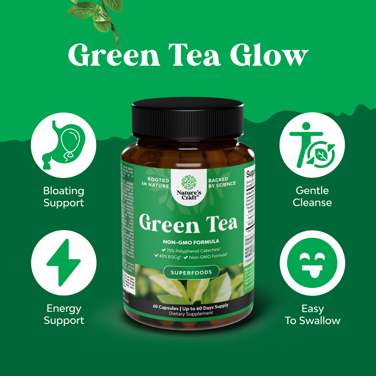 Green Tea Extract
