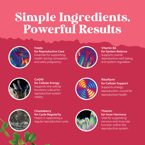 Female Fertility Support