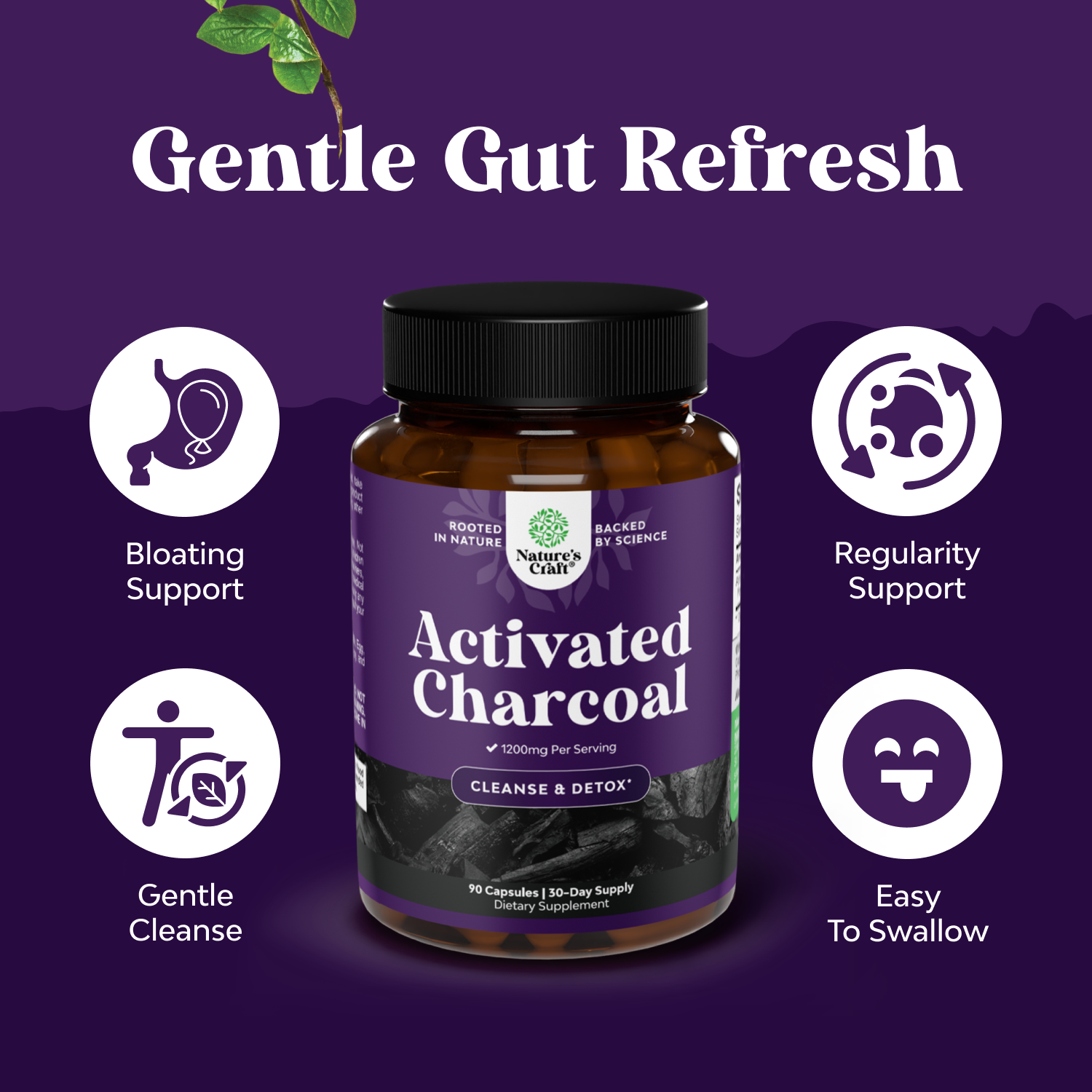 Activated Charcoal  1200mg per serving